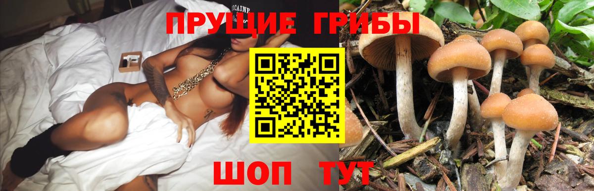 ГАШ  Мефедрон кристаллы  Вход с VPN  Alpha-PVP СК кристаллы  Мефедрон  Конопля  Азов  Гашиш  Продажа наркотиков 