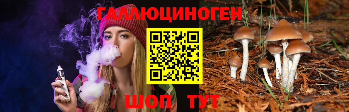 Псилоцибиновые грибы MAGIC MUSHROOMS  Псилоцибиновые грибы MAGIC MUSHROOMS  Вход с VPN  Азов 